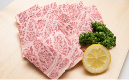 E-141 「佐賀牛」ロース焼肉用500g【チルドでお届け!】
