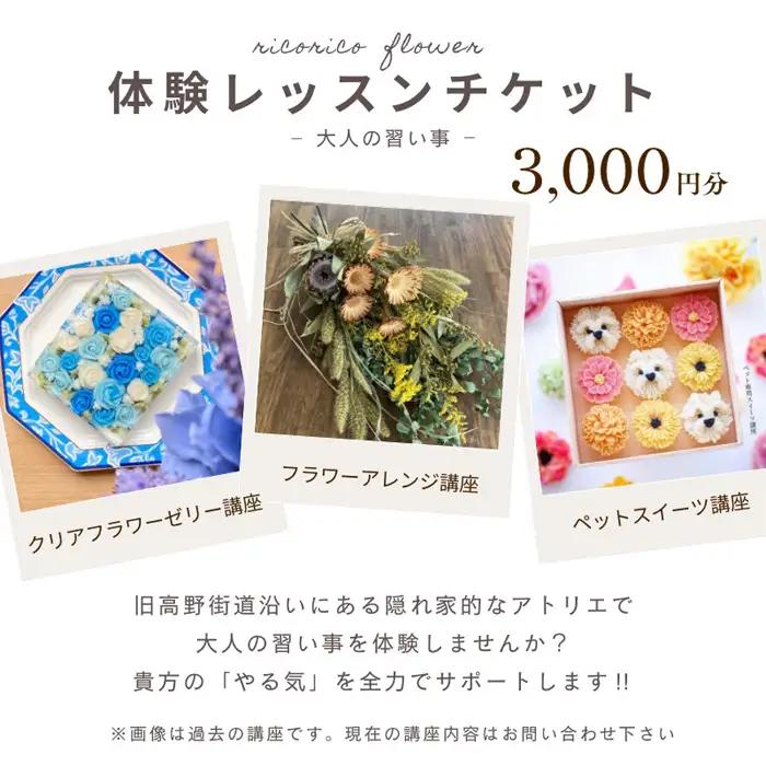 体験チケット　３０００円分 No.285