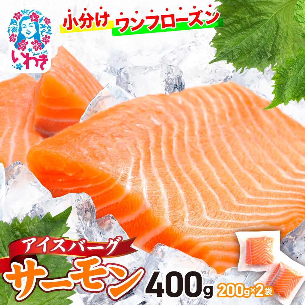 アイスバーグサーモン(アトランティックサーモン) 約400g(約200g×2袋) | サーモン ふるさと納税 サケ さけ しゃけ 刺し身 お刺身 個包装 魚介類 寿司 | (DK006-400g) 【DK006-400g】