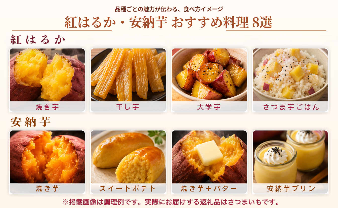 さつまいも 食べ比べ 約10kg 紅はるか 安納芋 各約5kg 熟成 焼き芋 焼芋 やきいも しっとり ねっとり 蜜芋 芋 おいも サツマイモ さつま芋 べにはるか 安納いも スイーツ おやつ 国産 栽培期間中農薬不使用 高知県 大月町産