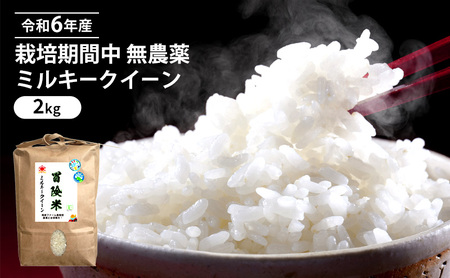 令和6年産 栽培期間中 無農薬 ミルキークイーン 2kg 玄米