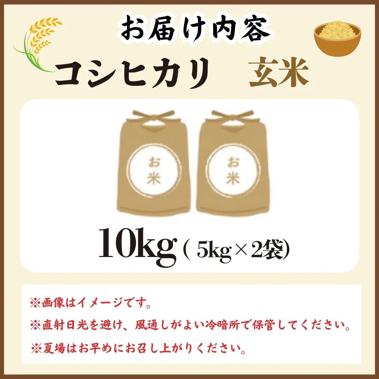 玄米 勝山産 コシヒカリ 玄米 10kg（5kg×2袋）【先行予約】