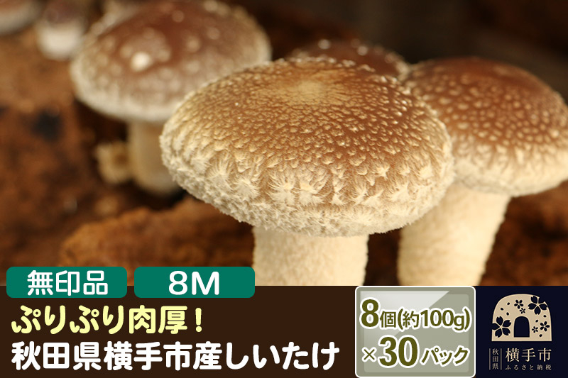 
しいたけ 無印品 8M（約100g）×30パック
