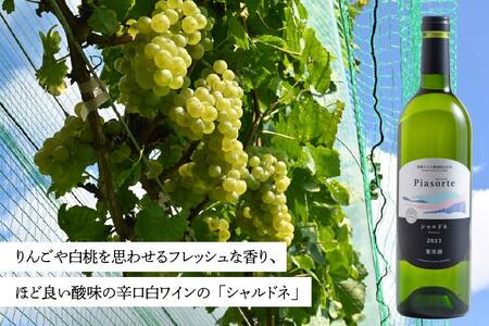 南郷ひなた農園 日本ワイン ピアソルテ シャルドネ2023 750ml × 1本 青森県 八戸市