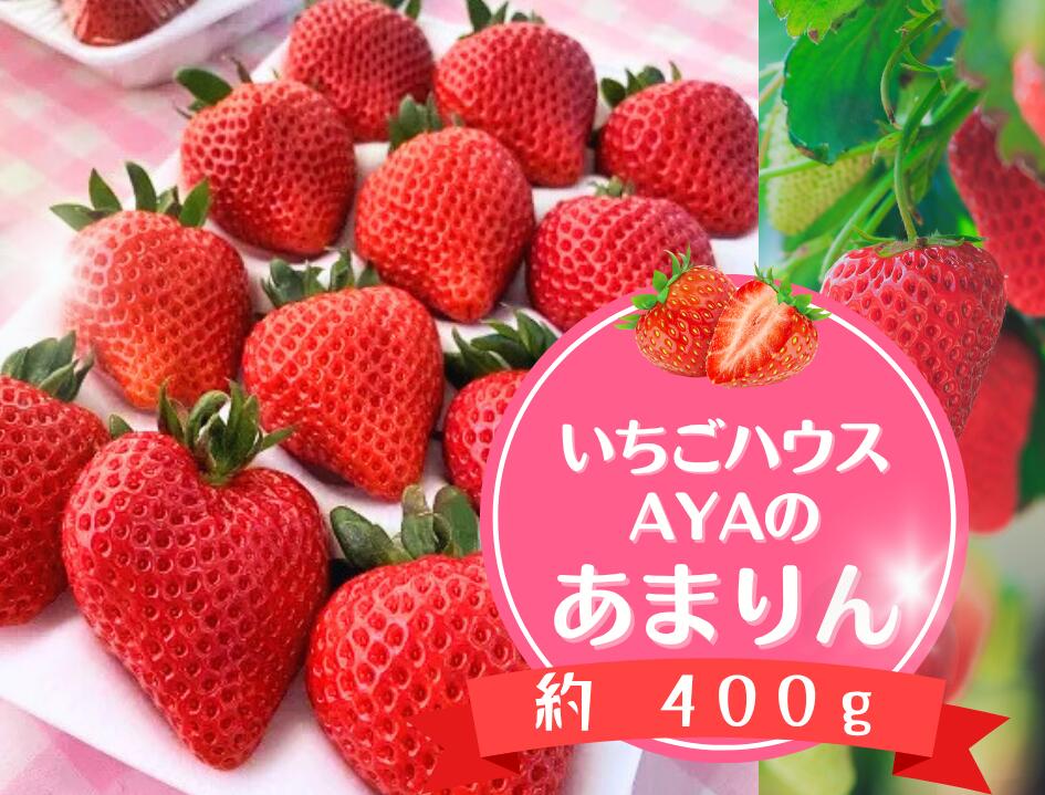 【ふるさと納税】 いちごハウスAYAのあまりん　約400g ／ 果物 フルーツ 苺 イチゴ プレミアム 採れたて 新鮮 濃厚 甘み 爽やか 酸味 低農薬 特産 送料無料 埼玉県 No.630