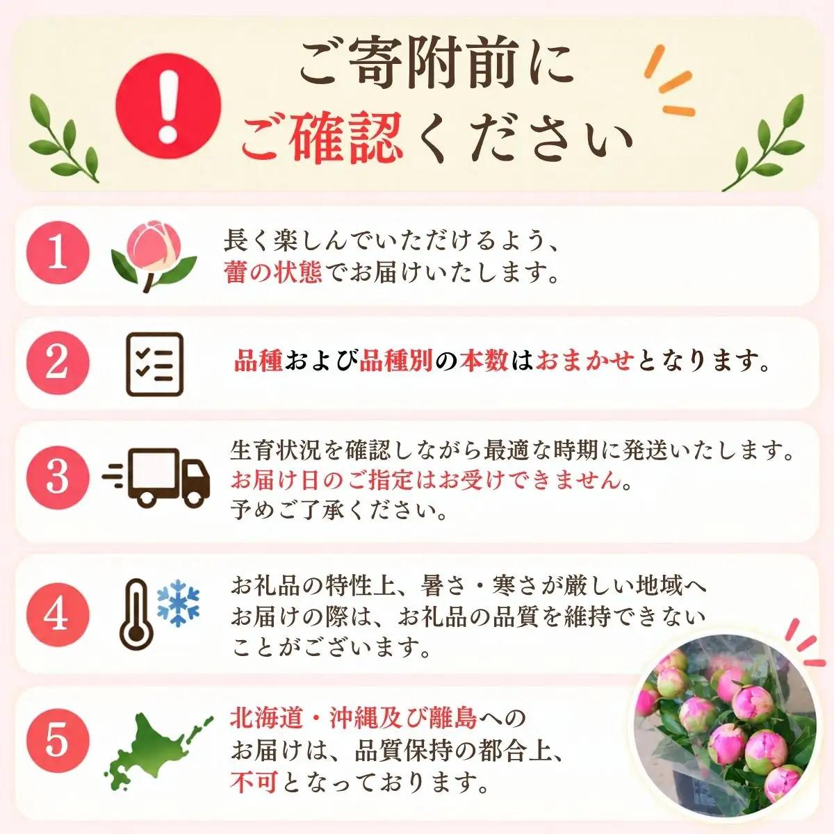【先行予約】芍薬 切花 おまかせ2?3品種 25本セット | 木内ファーム