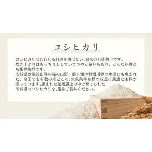 《 令和7年産 》 茨城県産 コシヒカリ 20kg ( 5kg × 4袋 ) 期間限定 こしひかり 米 コメ こめ 五ツ星 高品質 白米 精米 時短 単一米