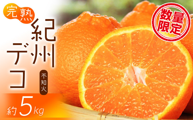 
            果肉プリプリ♪　完熟紀州デコ(不知火) 約5kg ＜2026年2月下旬頃〜2026年3月中旬頃発送＞（お届け日指定不可）【uot707A】
          