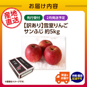 《先行受付》【2027年2月発送予定】 訳あり 雪室りんごサンふじ 約5kg【大江町産・山形りんご・大地農産】 028-029