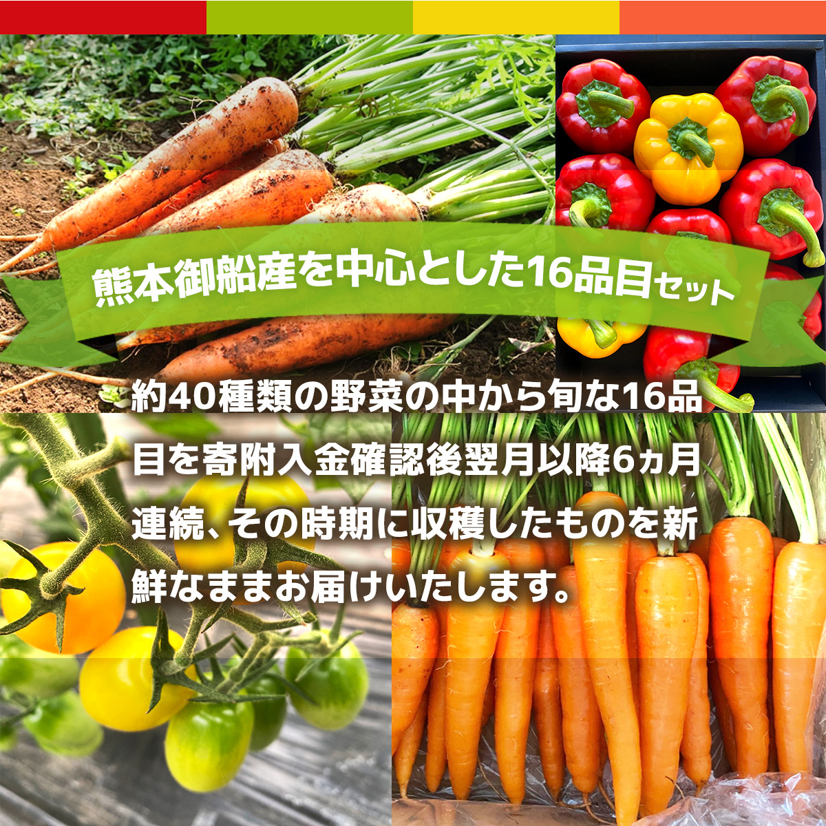AB003【6か月連続定期便】熊本季節の野菜セット 8品目	