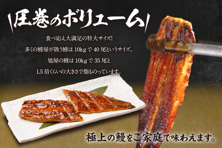 国産特大うなぎ長焼き２尾(約２５０ｇ)　合計５００ｇ以上（1663）