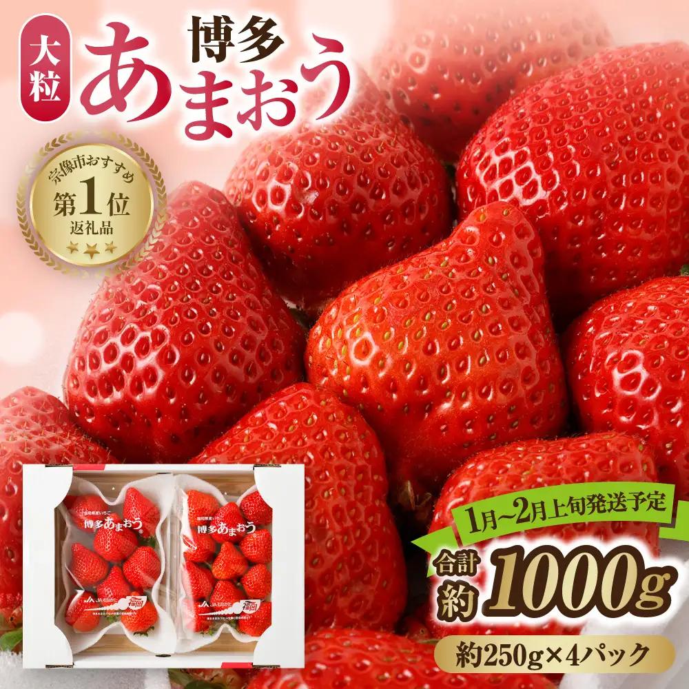 【先行予約】【アフター保証】大粒セレクト！大人気のあまおう 250g×4パック【1月～2月上旬発送】【JAほたるの里】 _AS0274-00