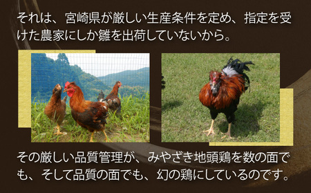 U-A3 ＜認定農家直送＞のびのびと育てたみやざき地頭鶏の生肉セット(合計1kg・モモ肉300g×2P、ムネ肉200g×2P)炭焼やソテー、鶏すき焼きに【権代ファーム】