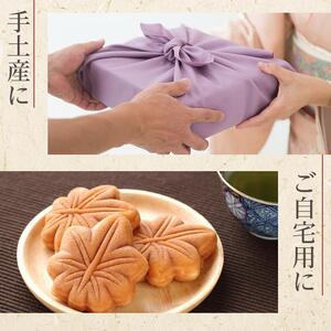 【やまだ屋】もみじ饅頭15個入｜まんじゅう 和菓子 贈答 広島