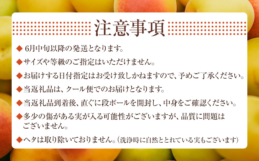 冷凍 紀州南高梅 完熟梅   約2kg   L～4Lサイズ混合 ご家庭用