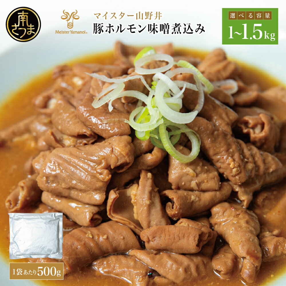 【ふるさと納税】豚ホルモン味噌煮込み 1kg～1.5kg ★選べる容量★［マイスター山野井］豚肉 ホルモン もつ もつ煮込み 豚小腸 味噌煮込み 惣菜 おかず 常温保存 加熱調理済み レトルト レトルトパウチ食品 電子レンジ調理 湯煎 山野井 鹿児島県 南さつま市 送料無料