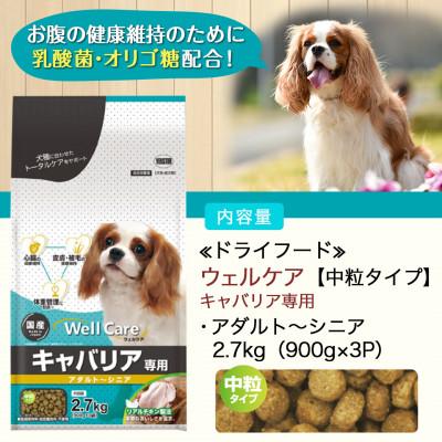 ふるさと納税 都城市 ドッグフード(キャバリア専用)アダルト〜シニア2.7kg |  | 03