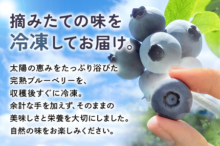 冷凍ブルーベリー 1.5kg ブルーベリー 冷凍 フルーツ 果物 くだもの 冷凍フルーツ 冷凍果物 完熟 新鮮 目にいい 健康 美容 人気 ギフト 贈り物 プレゼント 茨城県産 55-F