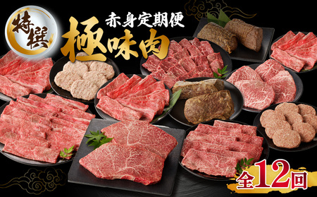 【特撰】佐賀牛 赤身 定期便（12回）／ 牛肉 定期便 【Z045】