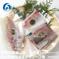 伊勢志摩産 朝どれ新鮮 2～3種 約350g お刺身用 おまかせセット 城水産が真空でお届け