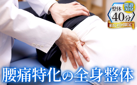 No.531 【初回のみ】腰痛特化の全身整体40分＋問診30分 ／ チケット 初回限定 問診 施術 アフターケア 姿勢 動作の修正 ストレッチ 運動療法 国家資格 愛知県
