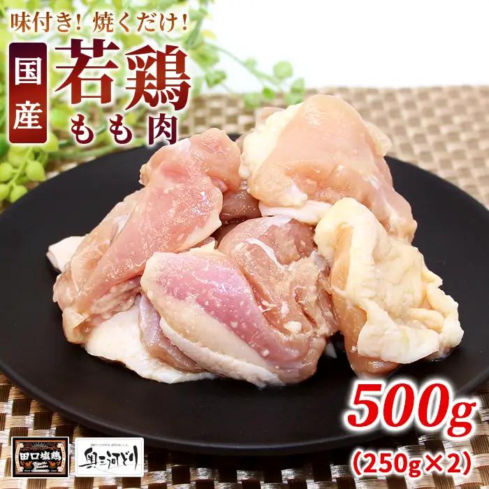 奥三河どり使用！ 田口塩鶏 味付け もも肉 500g 塩ダレ 味付け肉 鶏肉 鶏 肉 キャンプ バーベキュー 味付け肉 大容量 手軽 焼くだけ 地鶏 焼肉 焼き鳥 -173