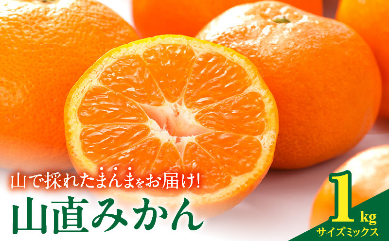
                  【2026年先行予約】みかん 山から直送 箱込 1kg ( 内容量 0.9kg ) 鮮度優先ごろごろ規格 和歌山県産 産地直送 【みかんの会】_MK1050
                