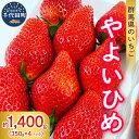 【ふるさと納税】【 先行予約 】 いちご 「 やよいひめ 」約350g×4パック 《 発送時期が選べる / 1月 2月 3月 4月 5月 》 群馬県 千代田町大粒 完熟収穫 大容量 新鮮 数量限定 甘い 贅沢 ご褒美 イチゴ ストロベリー 贈答 贈り物 ギフト プレゼント フルーツ 春 旬