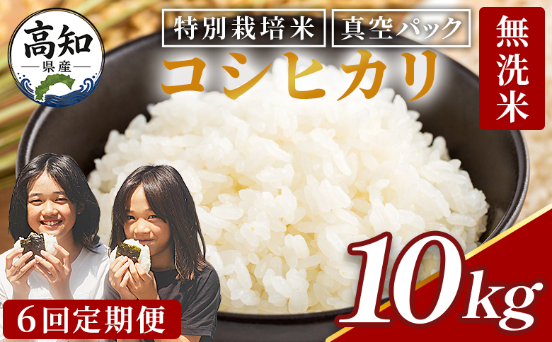 コシヒカリ 10kg【6回定期便】令和8年産 高知県香南市産 特別栽培米  国産 米 お米 こしひかり 白米 どうぞ ごはん おにぎり ご飯 防災 非常食 備蓄 kome 高知県 香南市 常温 Wnu-0016