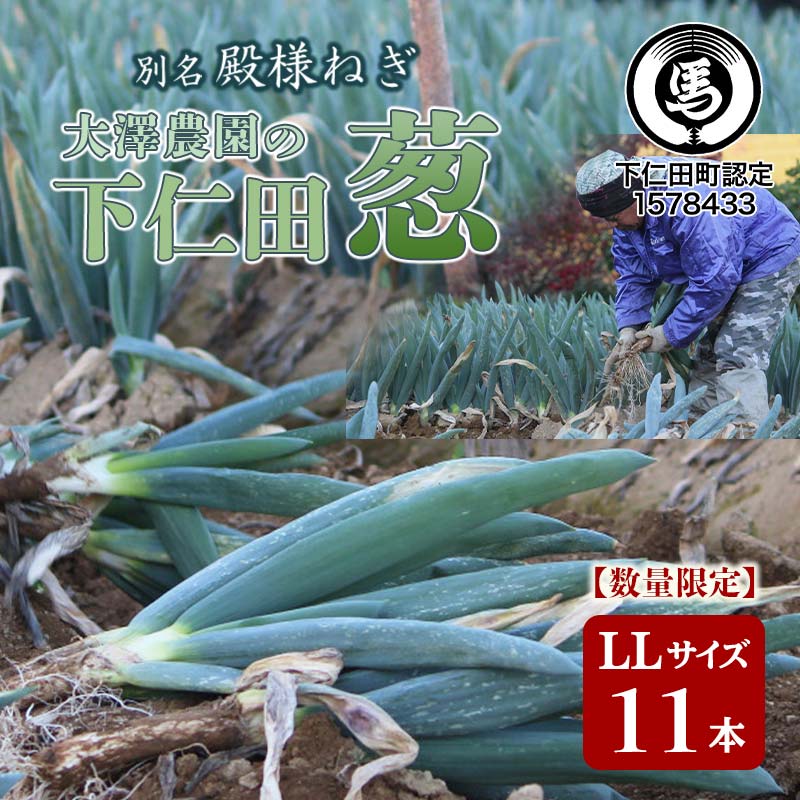 【ふるさと納税】別名“殿様ねぎ” 大澤農園の下仁田葱（LLサイズ 11本） とろける 甘い ねぎ ネギ 王様ねぎ 殿様ねぎ 特産 栄養たっぷり ブランド 上州ねぎ すきやき F21K-597