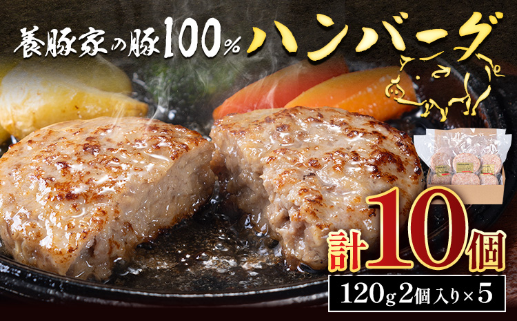 養豚家の豚100％ハンバーグセット 120g2枚入りパック×５セット計１０枚 豚肉 肉 厳選 国産 厳選 お取り寄せ グルメ おかず おすすめ スマイル ポーク 加工品 惣菜 簡単 冷凍 キャンプ BBQ