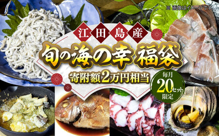 旬の海の幸 寄附額2万円相当[XBY005]魚介魚介魚介魚介魚介