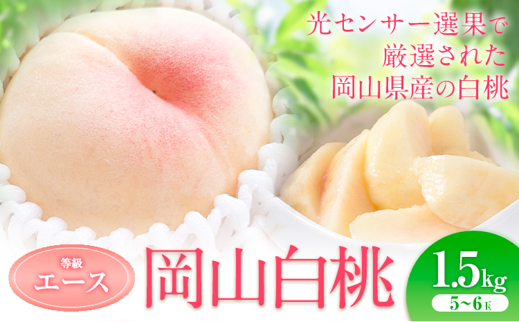 【2026年先行予約】岡山の白桃 等級 エース 約1.5kg(5〜6玉) 清水白桃 おかやま夢白桃 白鳳 白麗 なつおとめ 晴れの国 岡山農業協同組合 鴨方支店 《7月上旬-7月末頃出荷》岡山県 浅口市 岡山県産 白桃 桃 もも モモ 果物 フルーツ 送料無料【配送不可地域あり】（北海道・沖縄・離島）a-1