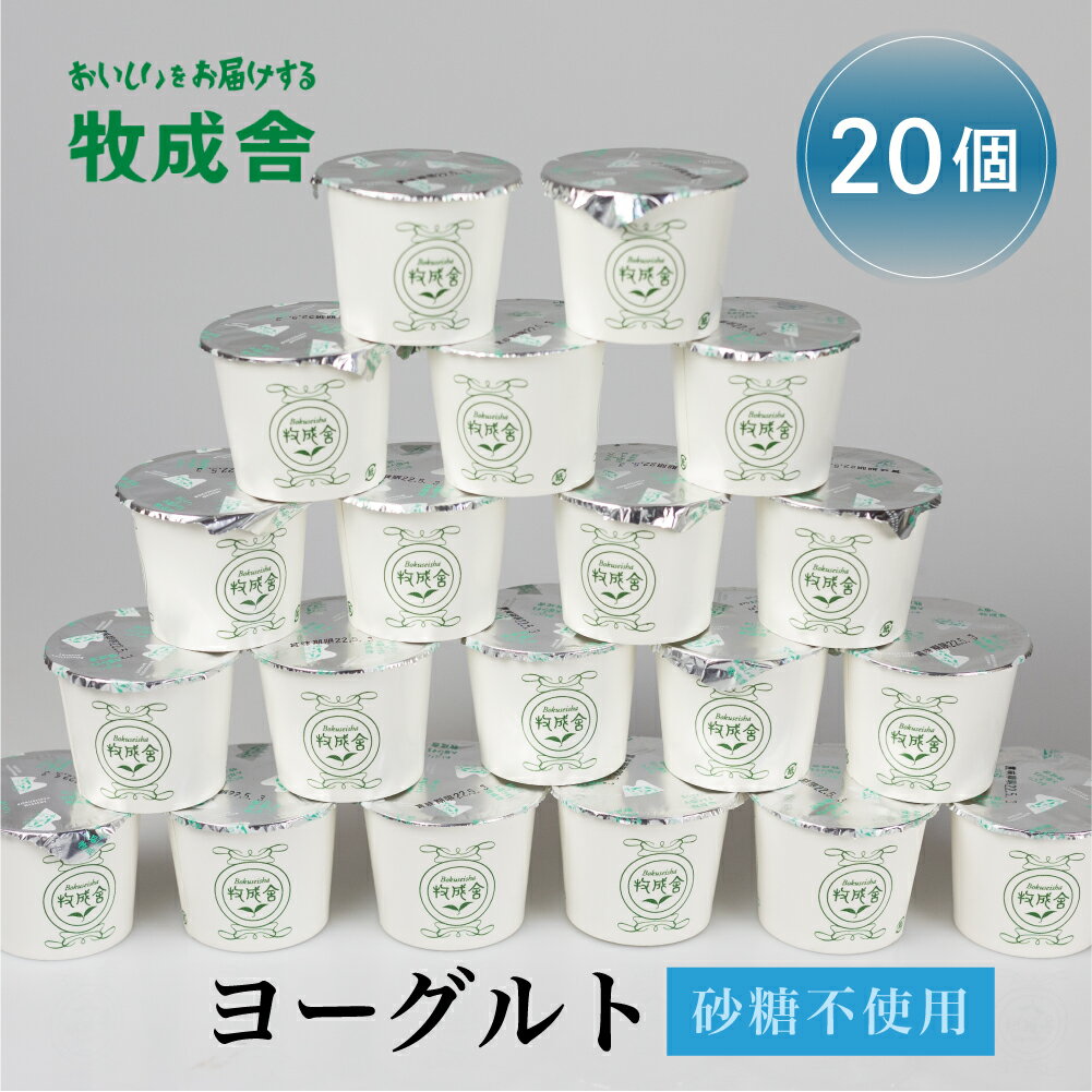 【ふるさと納税】飛騨産ミルクと乳酸菌だけのプレーンヨーグルト20個 砂糖不使用 牧成舎 《hida0307》