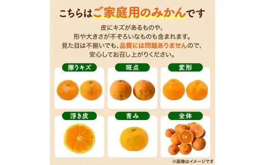 ≪家庭用≫ 清見 オレンジ 10kg / くだもの 甘い きよみ 柑橘 果物 和歌山 ※2027年3月上旬～3月中旬頃に順次発送 【nktn011-c-10】