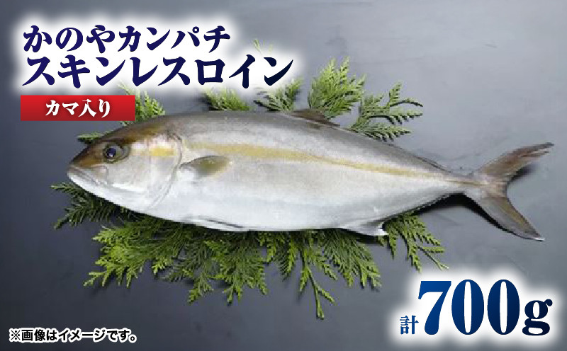 
174-1 かのやカンパチロイン（カマ入）
