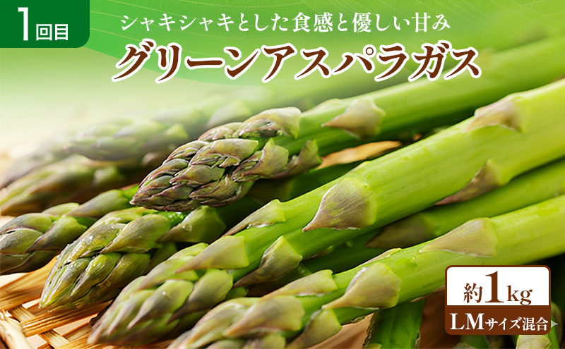 【2026年春～秋発送】定期便 3ヵ月 初夏の彩り満喫 野菜セッ