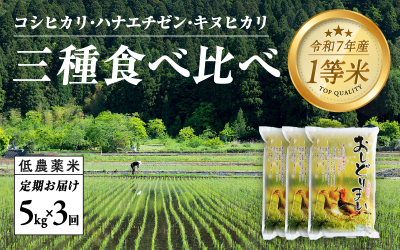 【令和7年産新米！】【2025年10月上旬以降 順次発送予定】【3ヶ月連続お届け】福井県産 おしどり米 3種類食べ比べ定期便 5kg × 3回 計15kg