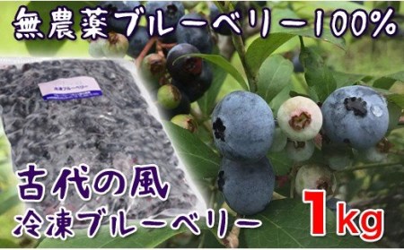『古代の風』無農薬ブルーベリー１kg【冷凍】＜1-56＞