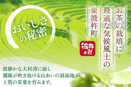 茶 お茶 緑茶 長崎 そのぎ茶 定期便 隔月 彼杵茶 玉緑茶 アルミボトル 490ml 24本 3回 総計72本 [彼杵の荘 長崎県 東彼杵町 hs42bag270021] 2か月に1回 ペットボトル