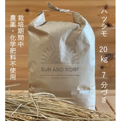 
                  ＜令和7年産＞初霜(源種)　7分づき20kg　(栽培期間中農薬・化学肥料不使用)【1721473】
                