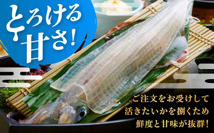 いか活造り定食お食事券（2名様分） / いか活造り 呼子イカ ペアお食事券 / 佐賀県 / 河太郎呼子店 [41ABAE001]