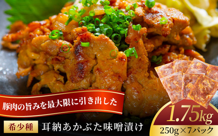 【希少豚使用】素材の旨みを引き出した あかぶた みそ漬け 1.75kg (250g×7パック)【リバーワイルド・ハム・ファクトリー】 豚肉 ぶた 真空パック 冷凍