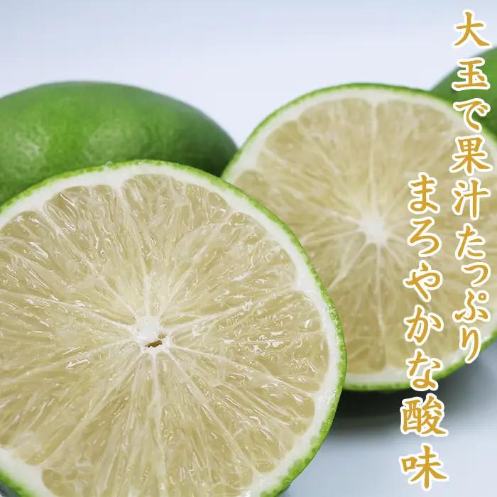 【鴨川の柑橘】まろやかな酸味とたっぷり果汁『璃の香レモン』５kg 《10月より発送開始》《数量限定》《先行予約》ちばエコ農産物 りのか リノカ 国産レモン 旬の柑橘 レモン 薄皮 草生栽培 低農薬 除