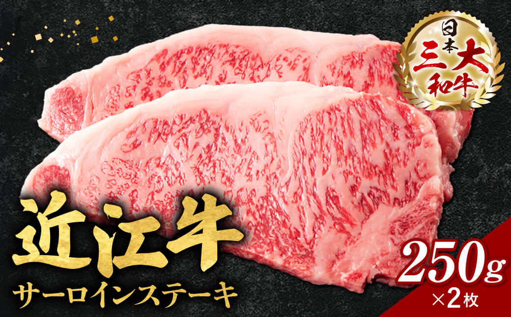 近江牛サーロインステーキ250ｇ×2枚（箱なしエコ包装）　E-E05　いろは精肉店