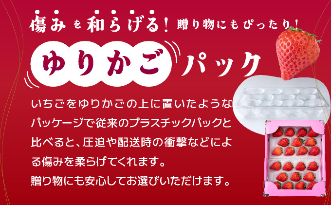 【先行予約】数量限定！佐賀県人気No.1苺”いちごさん” 4回定期便 （1回 235g×4p 約1kg）G-258-KN_イメージ3