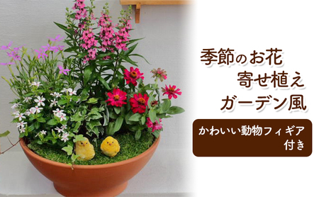 花 寄せ植え 季節のお花 ガーデン風 花 植物 インテリア