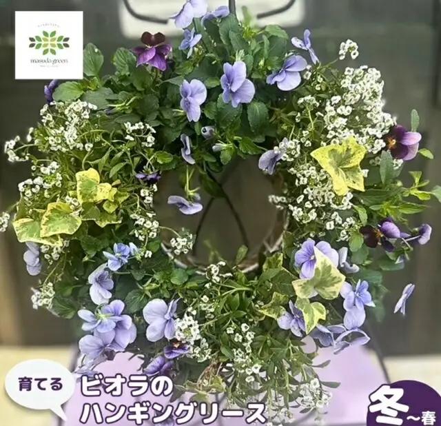 【 先行予約 ：2026年11月発送開始 】 花 パンジー ビオラ リース 寄せ植え オンライン決済限定 花