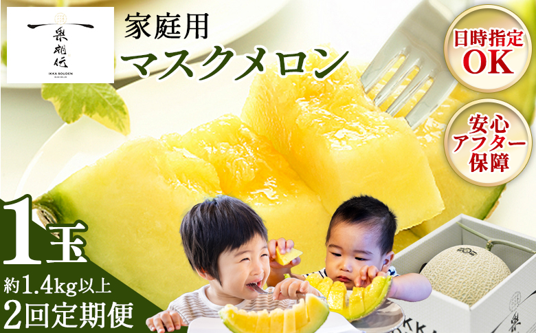 【２回定期便】一果相伝マスクメロン 家庭用 1玉入り めろん 青肉 自宅用 ジューシー 果汁 至福 美味しい 甘い あまい 篤農 産地直送 高知県 香南市 常温 Wtn-0057