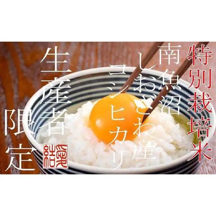 【令和7年産】【定期便10Kg×6ヶ月】【特別栽培米】 契約生産者限定  南魚沼しおざわ産コシヒカリ【定期便 銘柄米 ブランド米 精米 こしひかり コシヒカリ 魚沼産 新潟米 産地直送 お米 米 こめ コメ ご飯 御飯 ごはん】